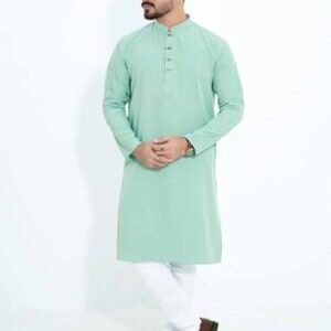 ভাঙচুর পেস্ট কালার পাঞ্জাবি